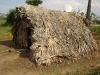 DSC00330