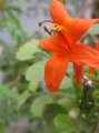 03-img_0041