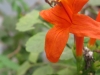 03-img_0041