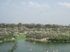 13-img_0102