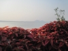 28-img_0227