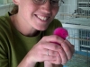2013-01-29_12-08-17_701