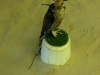 2013-01-29_15-56-25_64