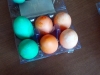 1-2014-04-20_08-26-06_684