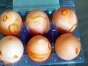 2-2014-04-20_08-26-14_403