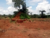 06-2013-01-22_12-11-47_11