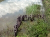 09-img_6742
