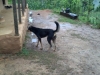 2012-07-02_05-39-51_838