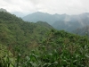 2012-07-08_11-39-59_548