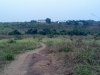 23-2013-07-23_18-02-43_926