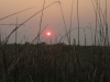 25-africa-141
