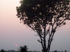 26-africa-144