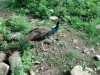 2012-07-10_08-08-01_286
