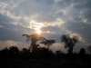 africa-273