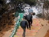 africa-275