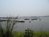 IMG_2933.JPG