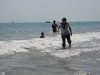 img_0730.jpg