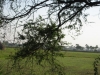 img_0674.jpg