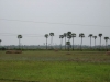img_0837.jpg