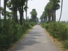 img_0856.jpg