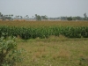 img_0885.jpg