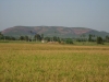 img_1562.jpg