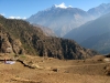 IMG_3472.JPG