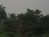 004_0.jpg