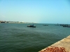 IMG_2915.JPG