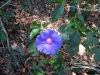 IMG_3884.JPG