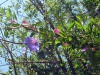 IMG_3941.JPG